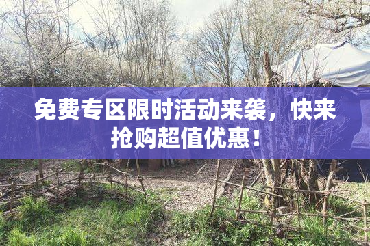免费专区限时活动来袭，快来抢购超值优惠！