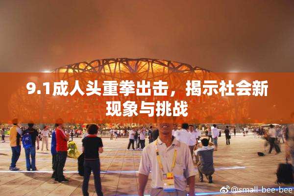 9.1成人头重拳出击，揭示社会新现象与挑战