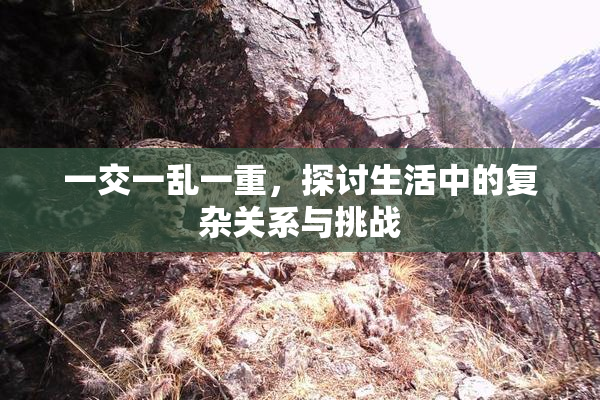 一交一乱一重，探讨生活中的复杂关系与挑战