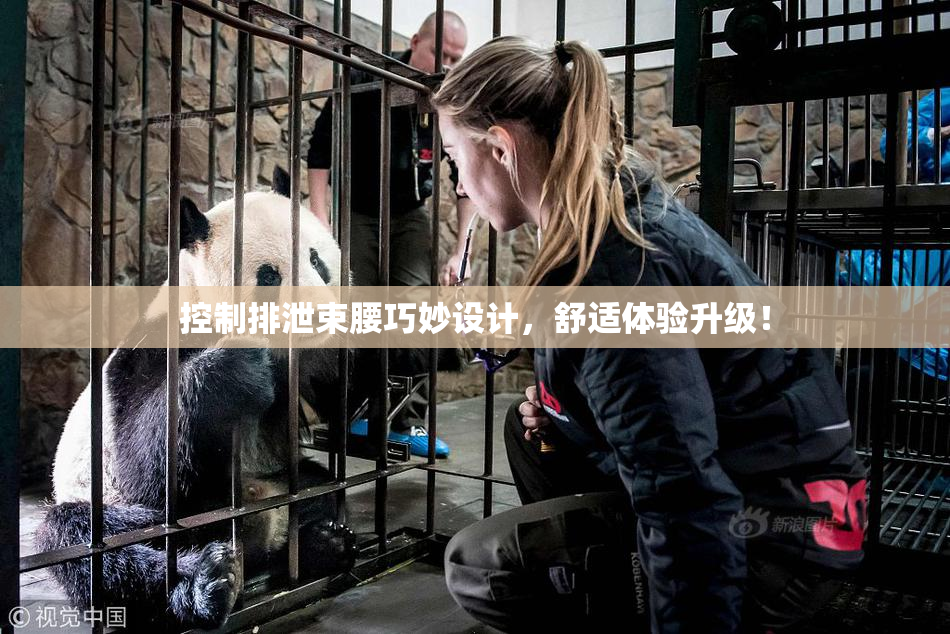 控制排泄束腰巧妙设计，舒适体验升级！
