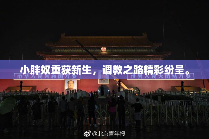 小胖奴重获新生，调教之路精彩纷呈。