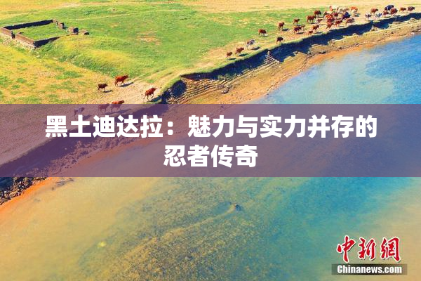 黑土迪达拉：魅力与实力并存的忍者传奇