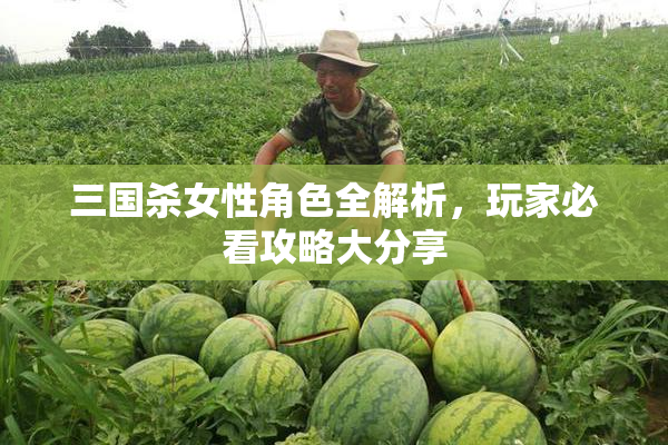 三国杀女性角色全解析，玩家必看攻略大分享