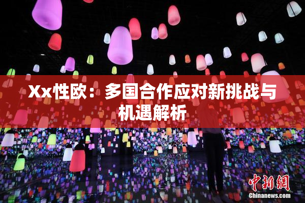Xx性欧：多国合作应对新挑战与机遇解析
