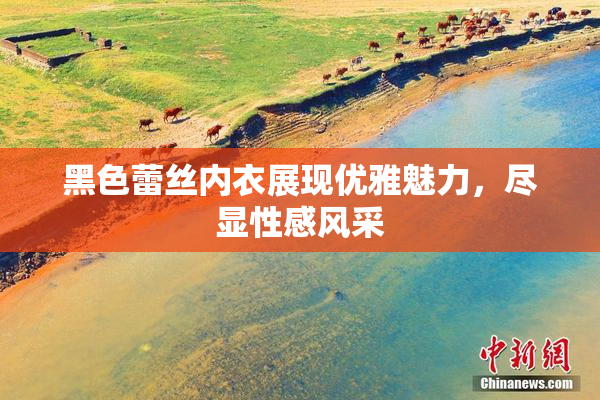 黑色蕾丝内衣展现优雅魅力，尽显性感风采