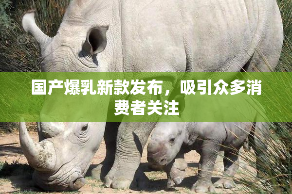 国产爆乳新款发布，吸引众多消费者关注