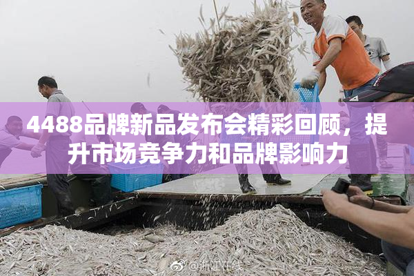 4488品牌新品发布会精彩回顾，提升市场竞争力和品牌影响力