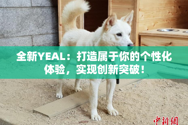全新YEAL：打造属于你的个性化体验，实现创新突破！