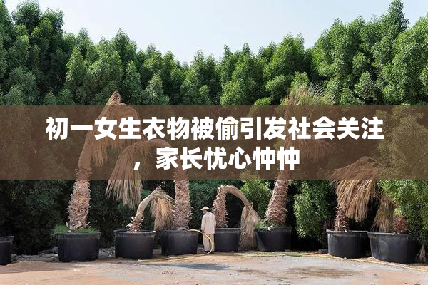 初一女生衣物被偷引发社会关注，家长忧心忡忡