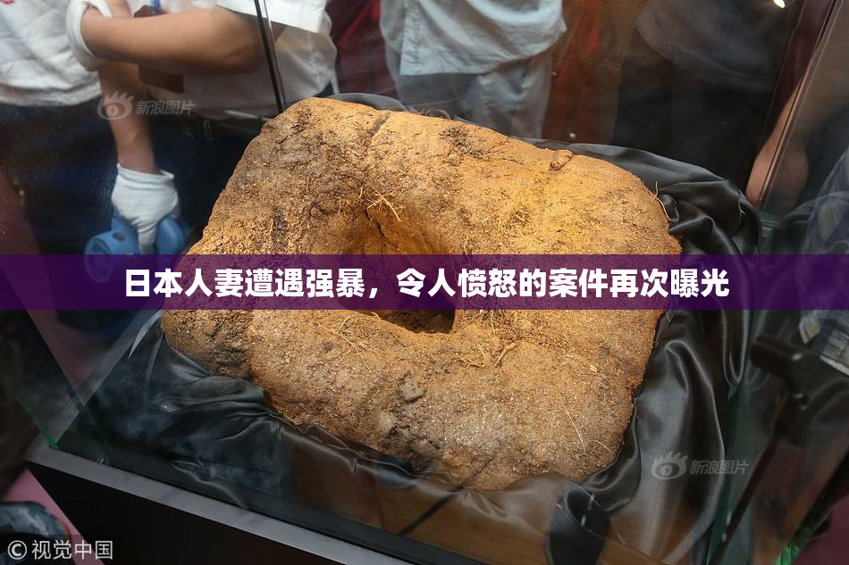 日本人妻遭遇强暴，令人愤怒的案件再次曝光
