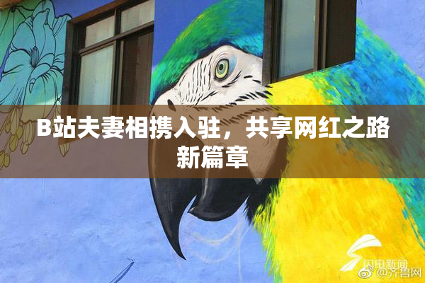 B站夫妻相携入驻，共享网红之路新篇章