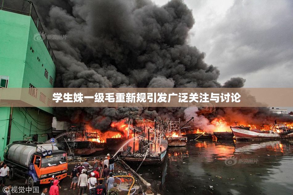 学生姝一级毛重新规引发广泛关注与讨论