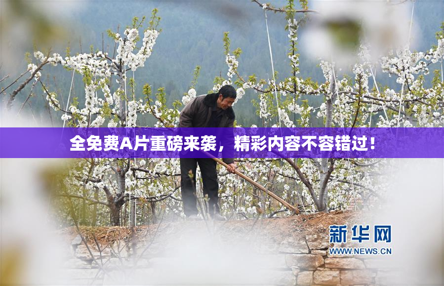 全免费A片重磅来袭，精彩内容不容错过！