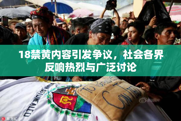 18禁黄内容引发争议，社会各界反响热烈与广泛讨论