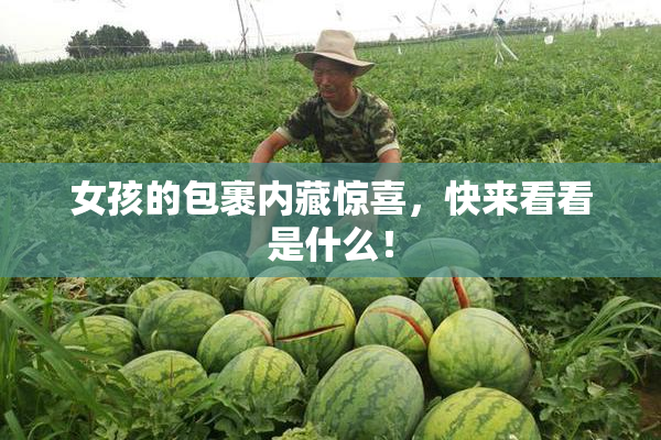 女孩的包裹内藏惊喜，快来看看是什么！