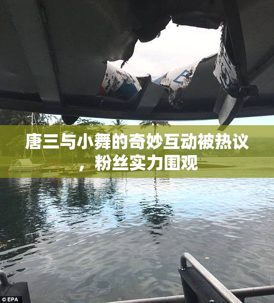 唐三与小舞的奇妙互动被热议，粉丝实力围观