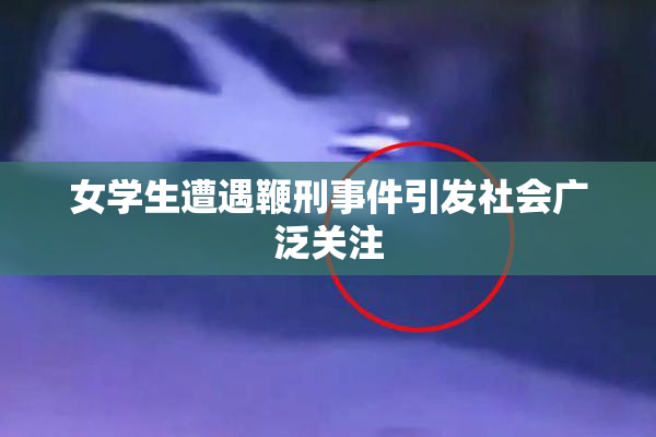 女学生遭遇鞭刑事件引发社会广泛关注