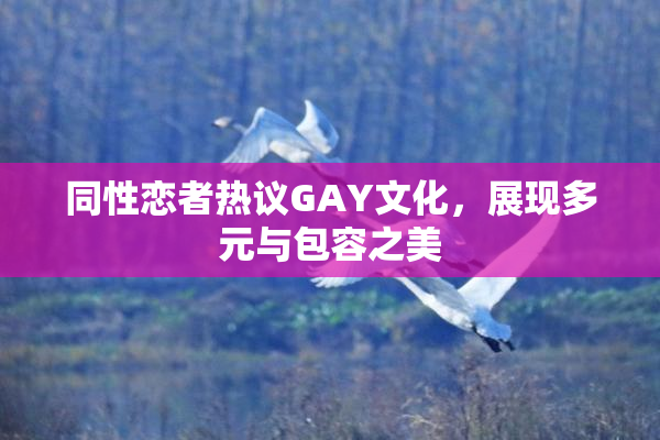 同性恋者热议GAY文化，展现多元与包容之美