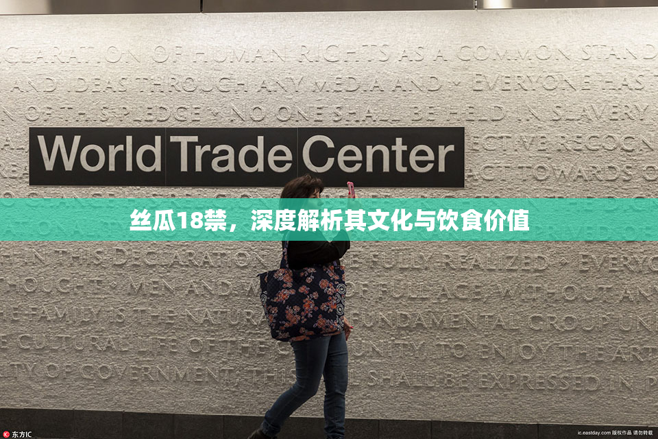 丝瓜18禁，深度解析其文化与饮食价值