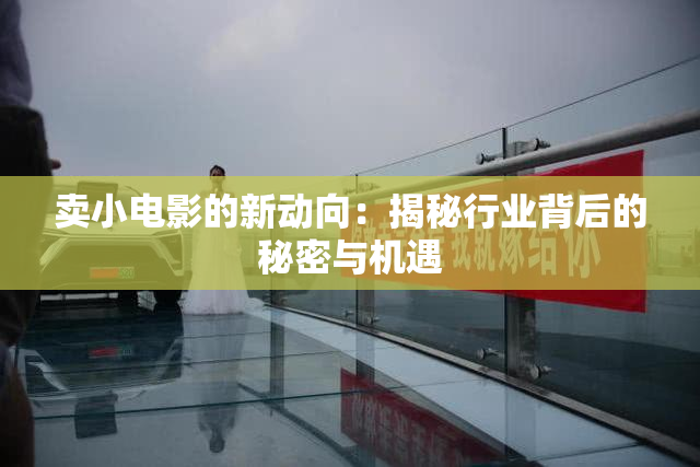 卖小电影的新动向：揭秘行业背后的秘密与机遇