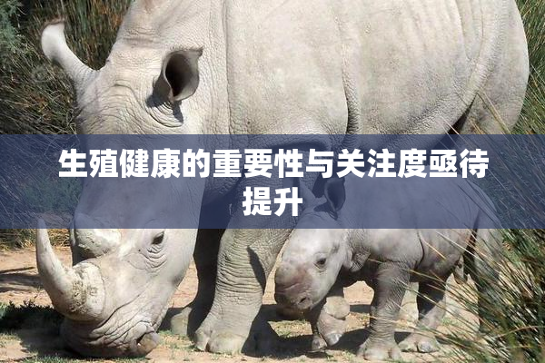 生殖健康的重要性与关注度亟待提升