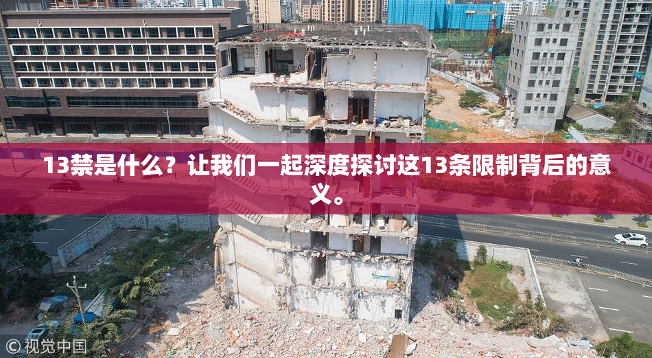 13禁是什么？让我们一起深度探讨这13条限制背后的意义。