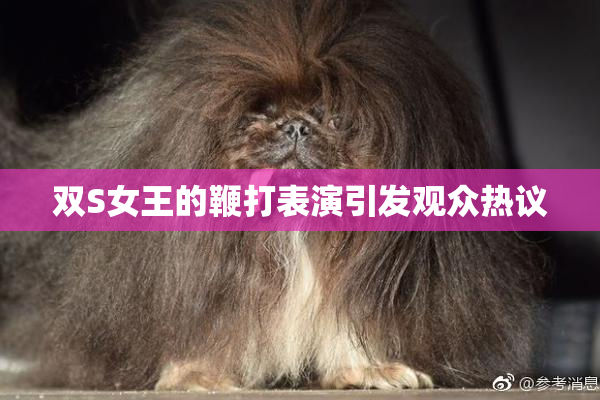 双S女王的鞭打表演引发观众热议