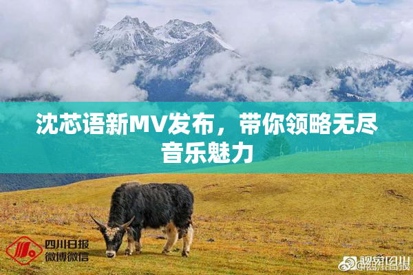 沈芯语新MV发布，带你领略无尽音乐魅力