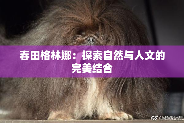 春田格林娜：探索自然与人文的完美结合
