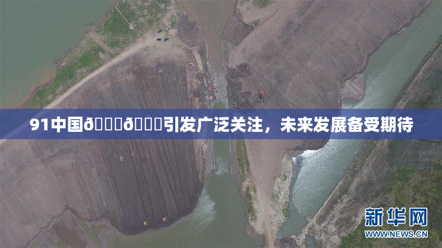 91中国🍆🍑引发广泛关注，未来发展备受期待