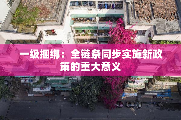一级捆绑：全链条同步实施新政策的重大意义