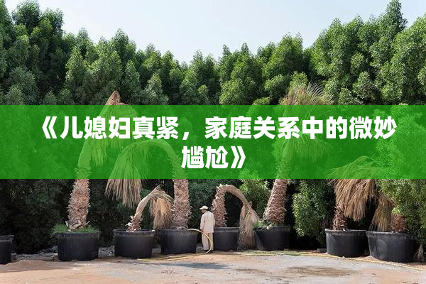 《儿媳妇真紧，家庭关系中的微妙尴尬》