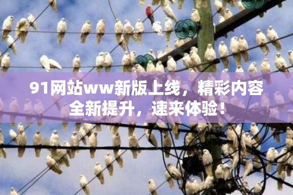 91网站ww新版上线，精彩内容全新提升，速来体验！