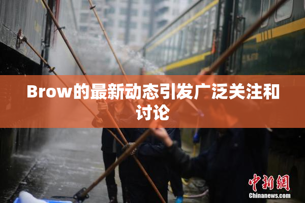 Brow的最新动态引发广泛关注和讨论