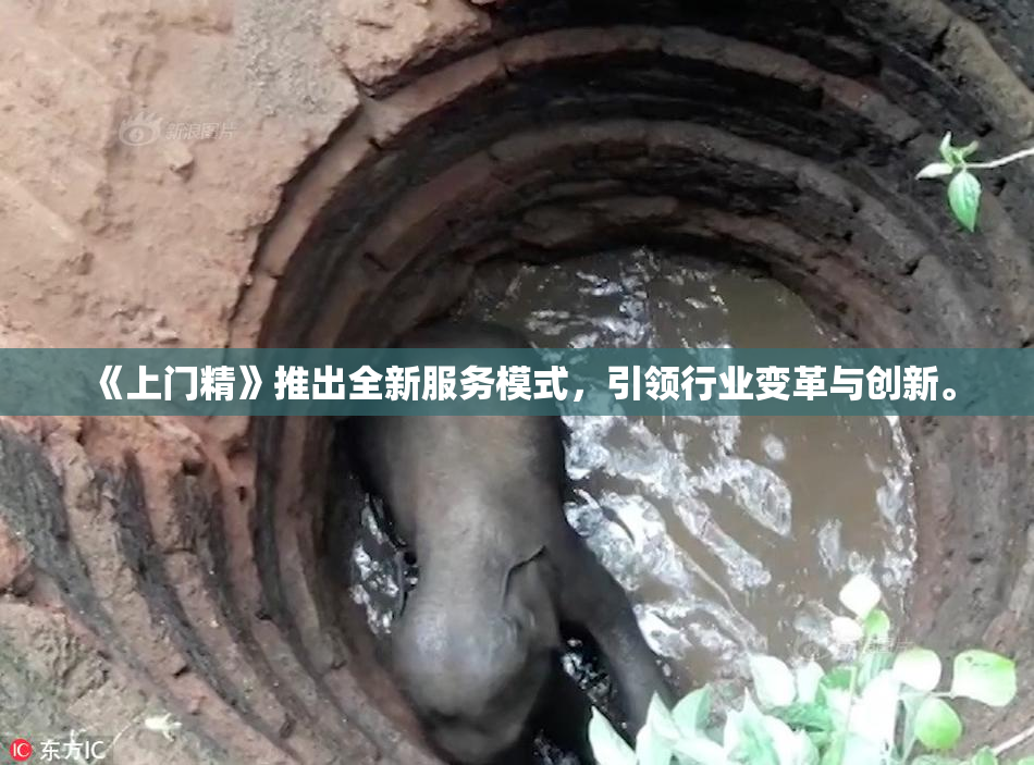 《上门精》推出全新服务模式，引领行业变革与创新。