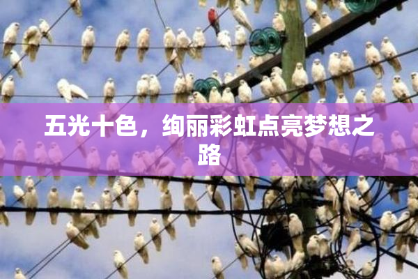 五光十色，绚丽彩虹点亮梦想之路