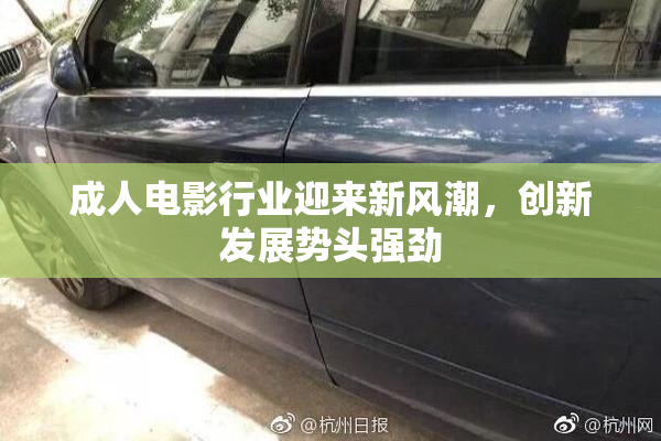 成人电影行业迎来新风潮，创新发展势头强劲