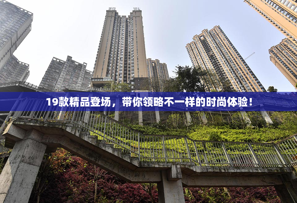 19款精品登场，带你领略不一样的时尚体验！