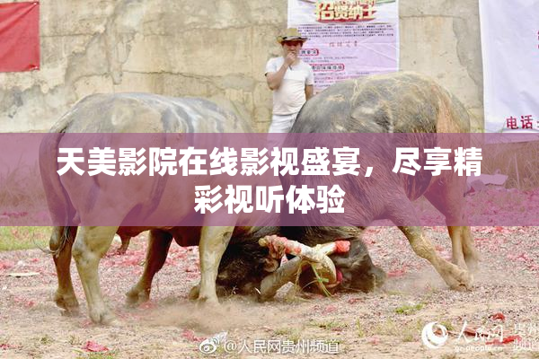 天美影院在线影视盛宴，尽享精彩视听体验