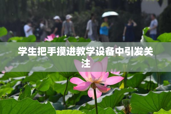 学生把手摸进教学设备中引发关注