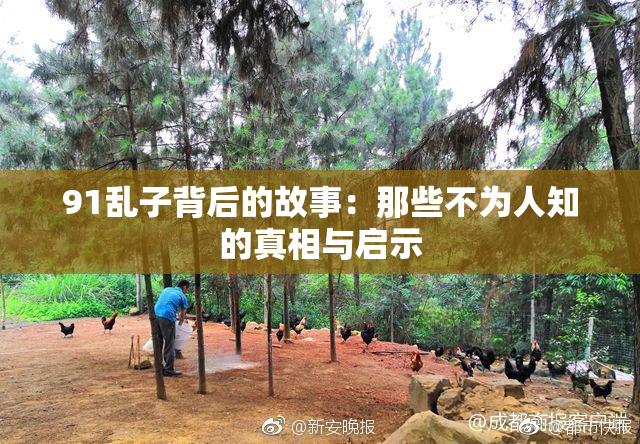 91乱子背后的故事：那些不为人知的真相与启示