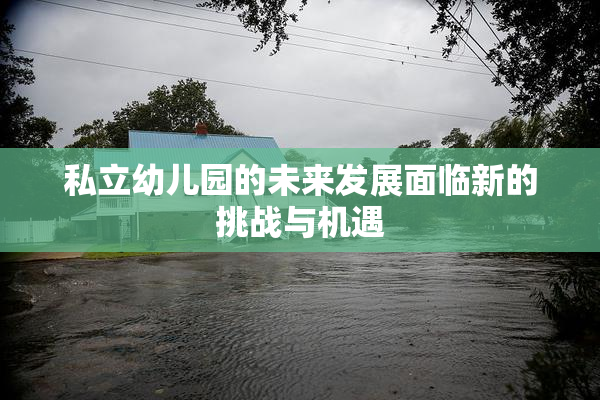 私立幼儿园的未来发展面临新的挑战与机遇