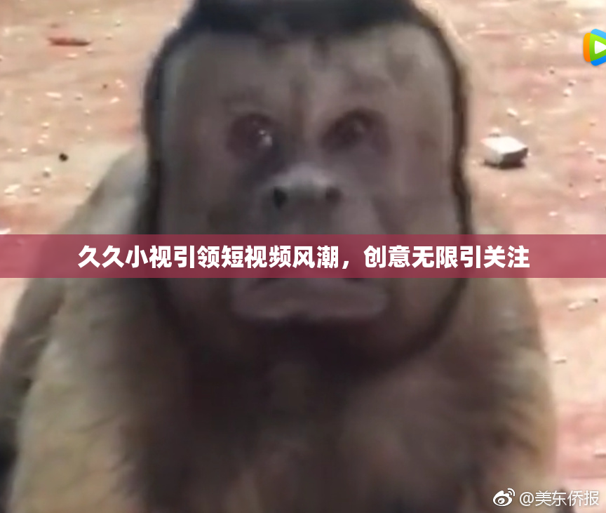久久小视引领短视频风潮，创意无限引关注