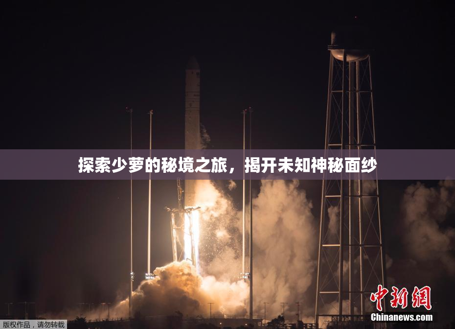 探索少萝的秘境之旅，揭开未知神秘面纱