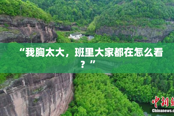 “我胸太大，班里大家都在怎么看？”