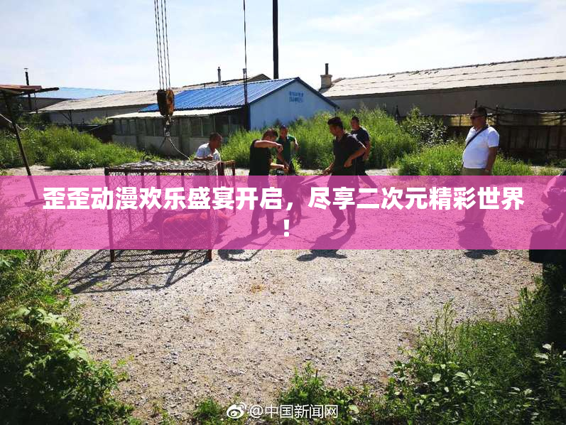 歪歪动漫欢乐盛宴开启，尽享二次元精彩世界！