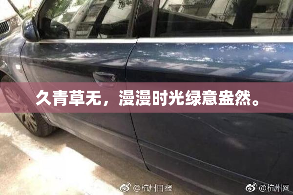 久青草无，漫漫时光绿意盎然。