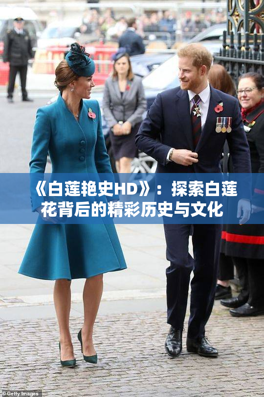 《白莲艳史HD》：探索白莲花背后的精彩历史与文化