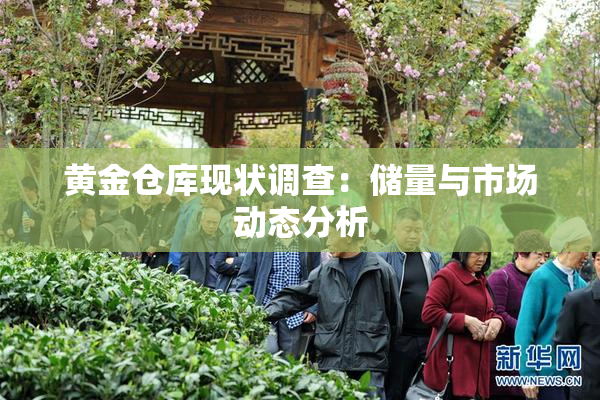 黄金仓库现状调查：储量与市场动态分析