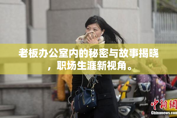 老板办公室内的秘密与故事揭晓，职场生涯新视角。